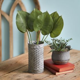 Philodendron Spray - Min of 2